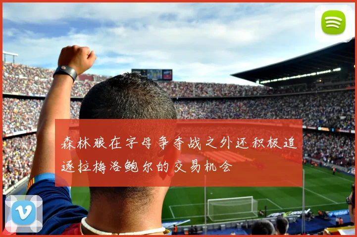 森林狼在字母争夺战之外还积极追逐拉梅洛鲍尔的交易机会